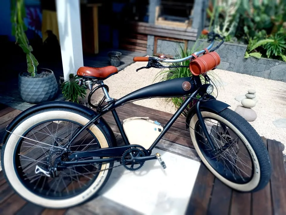 Vélo électrique RAYVOLT BEACHIN Customisé vintage