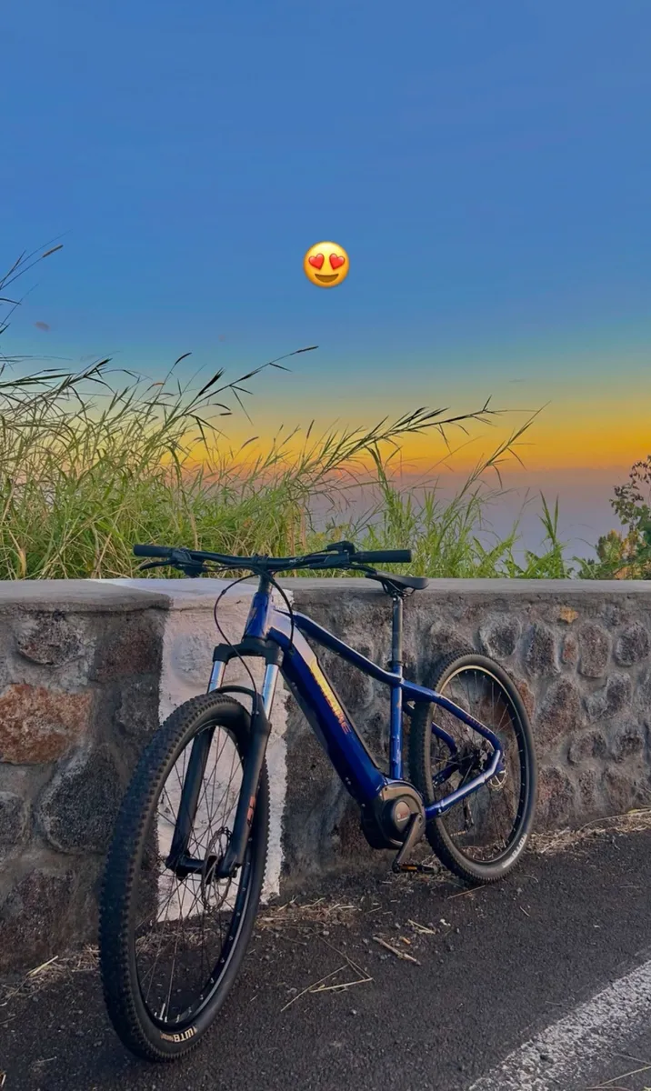 Vend VTTAE Haibike alltrack 4 peu roulé