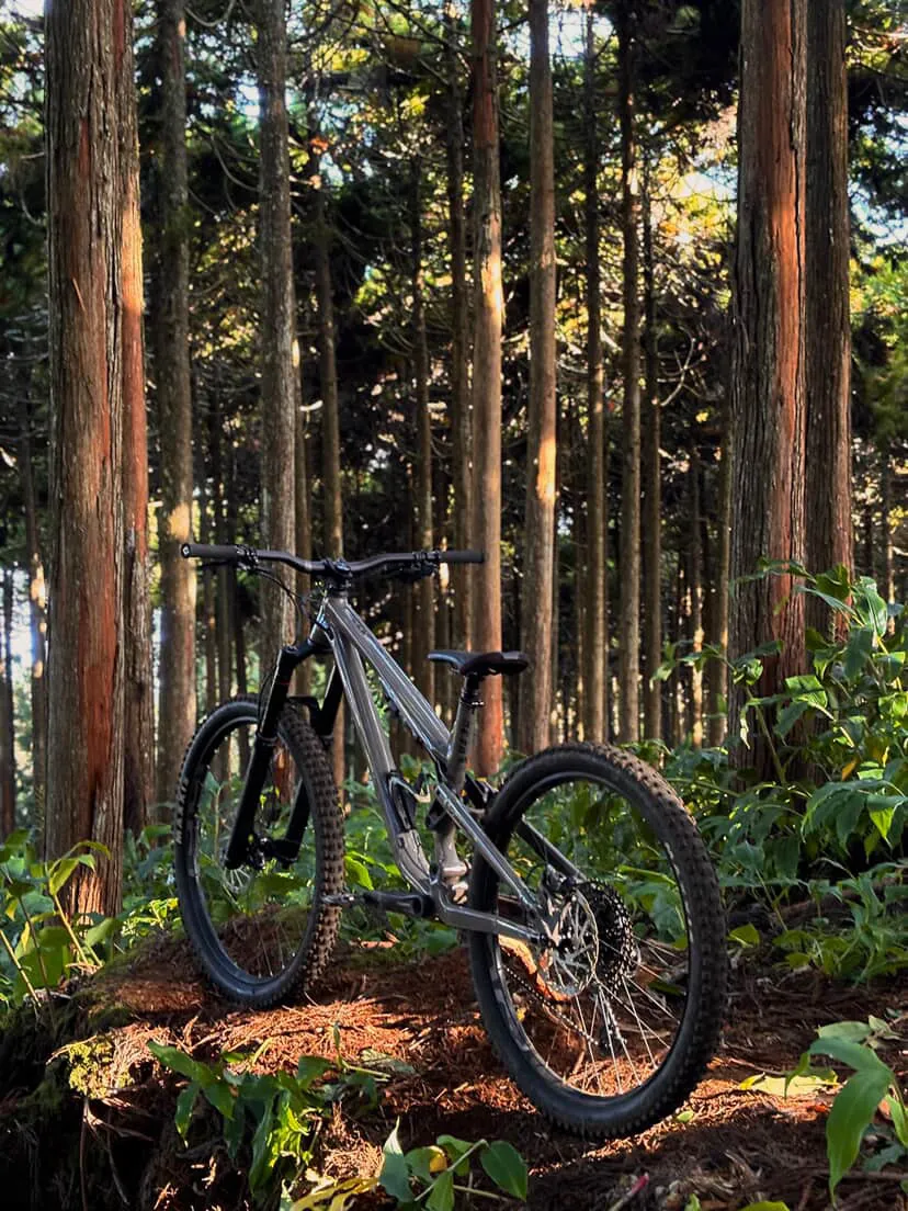 Commencal META SX