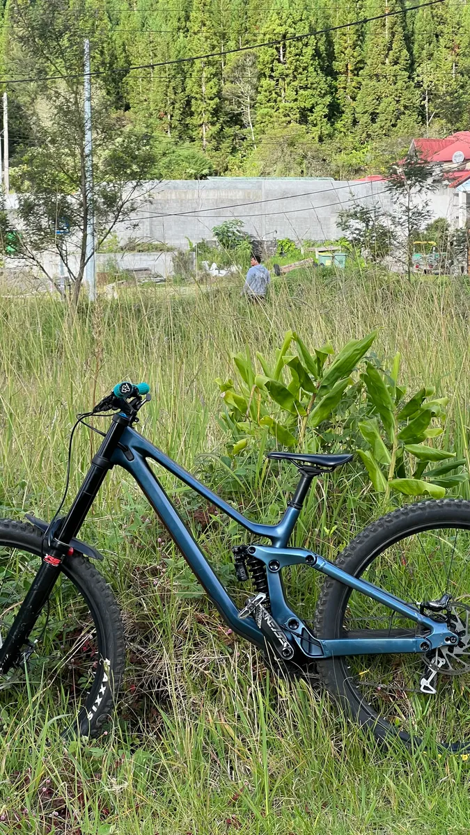 VTT dh Scott gambler